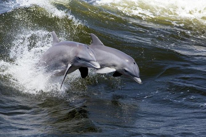 Hilton Head Island Ocean Dolphin Cruise - Cruising through Calibogue Sound