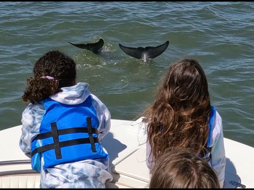 Hilton Head Island: Private Dolphin and Nature Tour - Bull Island, shell banks, and small tidal creeks