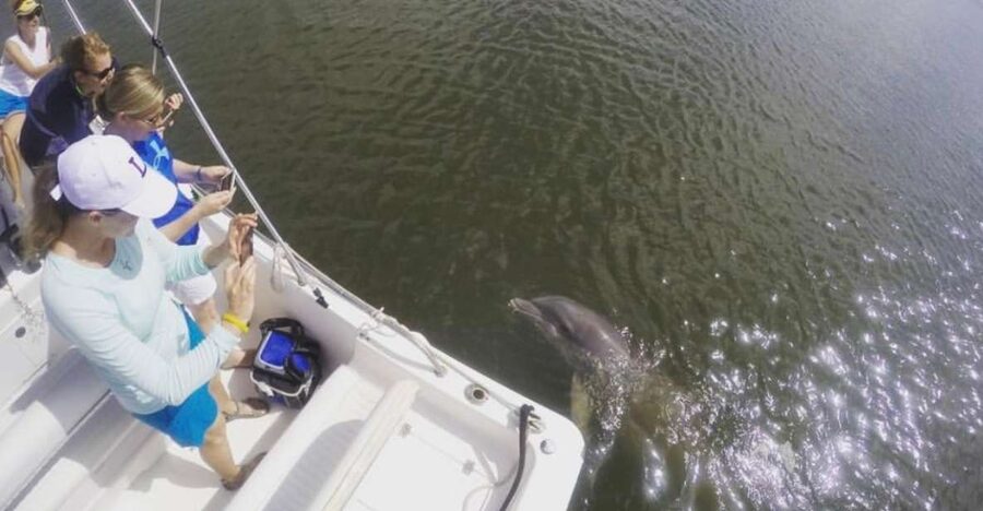 Hilton Head Island: Private Dolphin Watching Boat Tour - Passing Daufuskie Island
