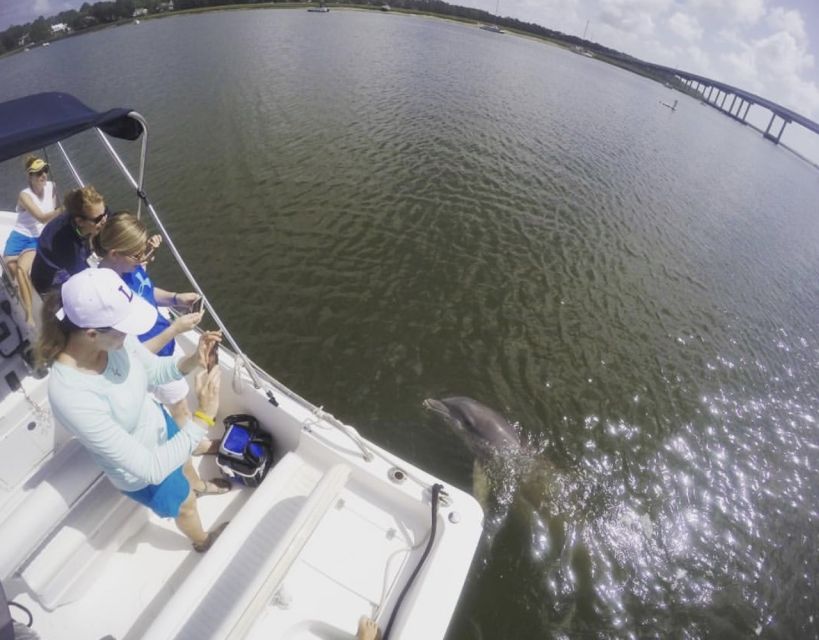Hilton Head Island: Private Dolphin Watching Boat Tour - Why a private boat matters