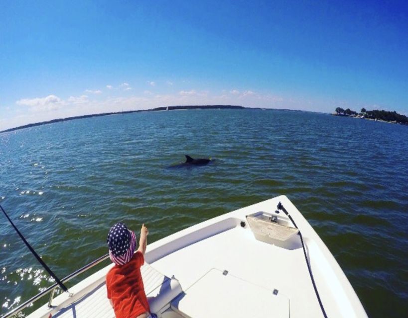 Hilton Head Island: Private Dolphin Watching Boat Tour - Moving through Hilton Head’s Lowcountry waterways