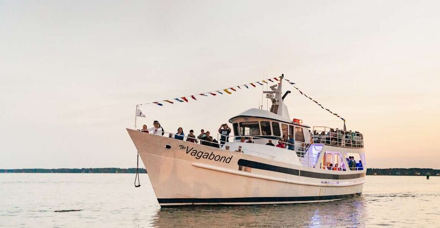 Hilton Head Island: Sunset Dolphin Cruise - Quick points about the Hilton Head sunset cruise