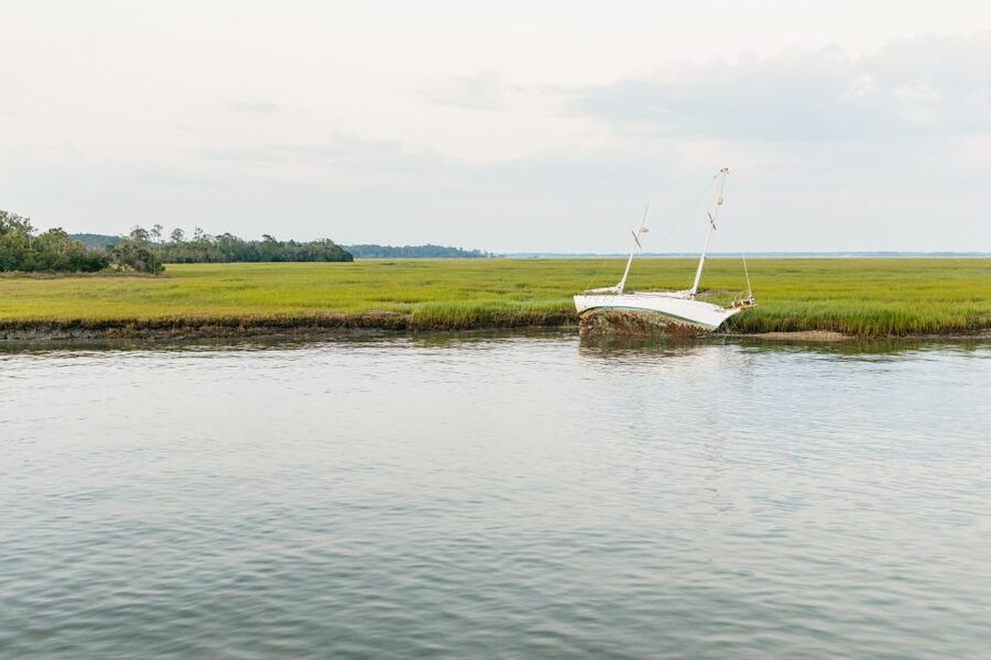 Hilton Head Island: Sunset Dolphin Cruise - Booking advice and final verdict