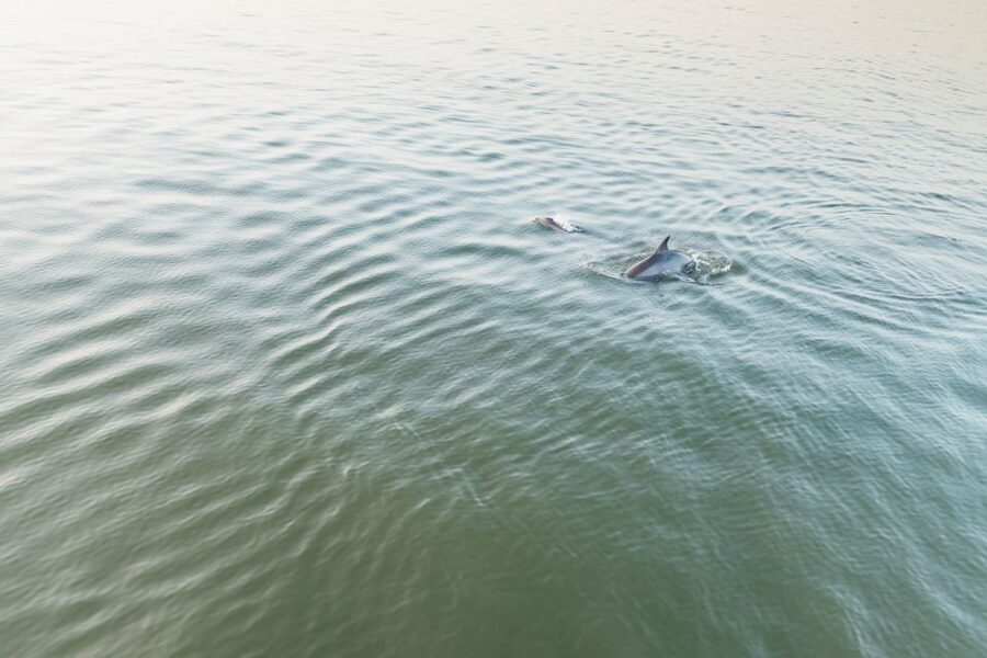 Hilton Head Island: Sunset Dolphin Cruise - What the boat feels like onboard