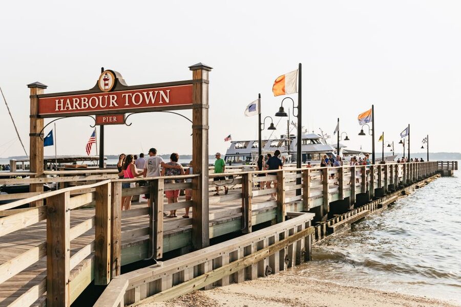 Hilton Head Island: Sunset Dolphin Cruise - Snacks, drinks, and what to bring