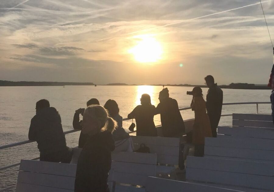 Hilton Head Island: Sunset Dolphin Cruise - The first search for Atlantic bottlenose dolphins
