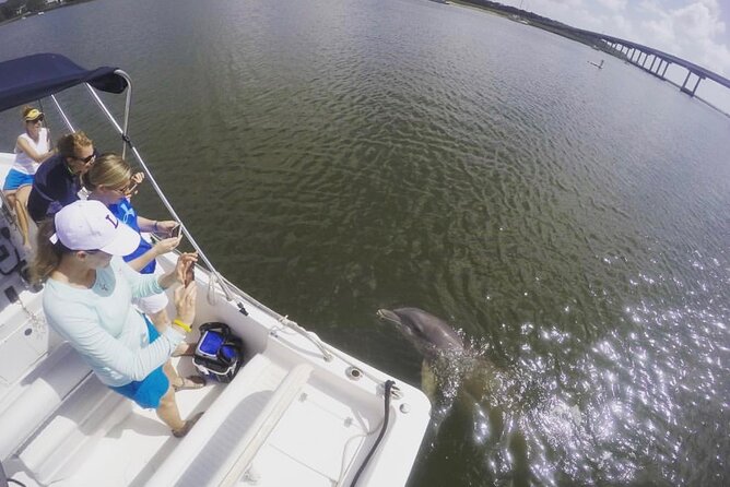 Hilton Head Island Sunset Dolphin Tour - What $49.99 really buys you