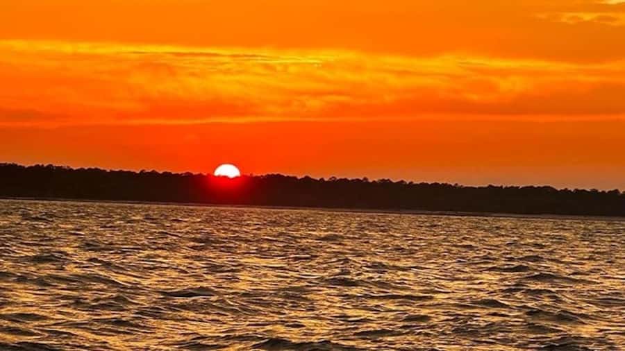 Hilton Head Island: Sunset Dolphin Watching Tour - Leaving Palmetto Bay Marina
