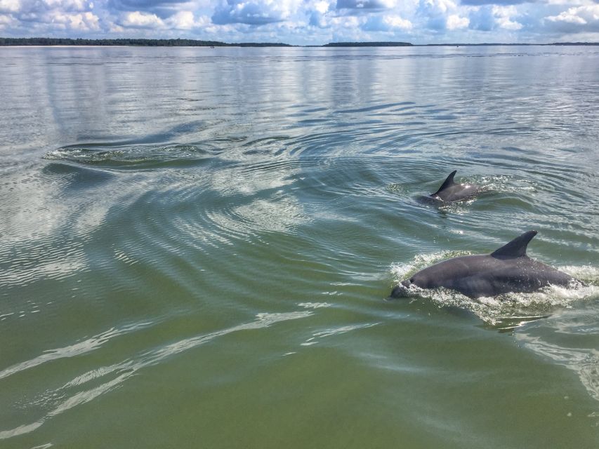 Hilton Head Island: Sunset Dolphin Watching Tour - Sunset on Calibogue Sound