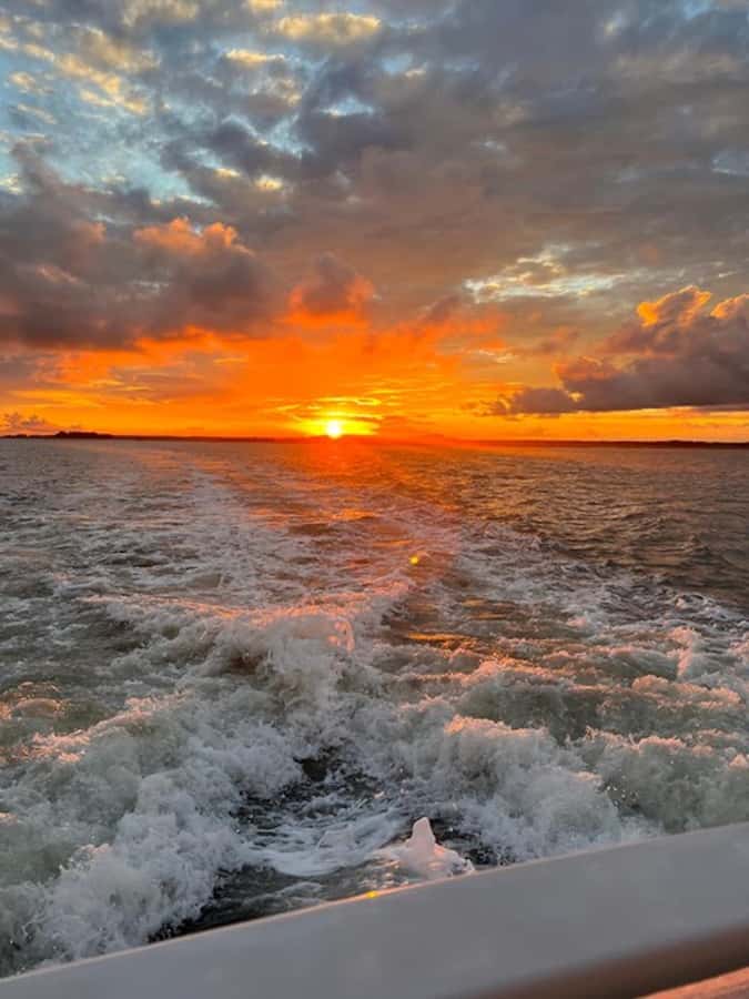 Hilton Head Island: Sunset Dolphin Watching Tour - How Much Value Do You Get for $49?