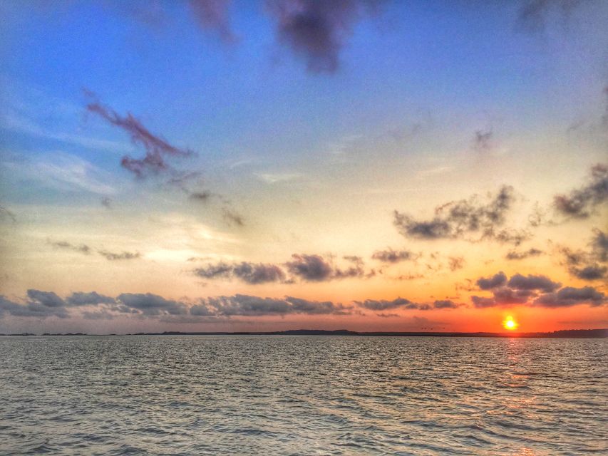 Hilton Head Island: Sunset Dolphin Watching Tour - Weather, Comfort, and Practical Limits