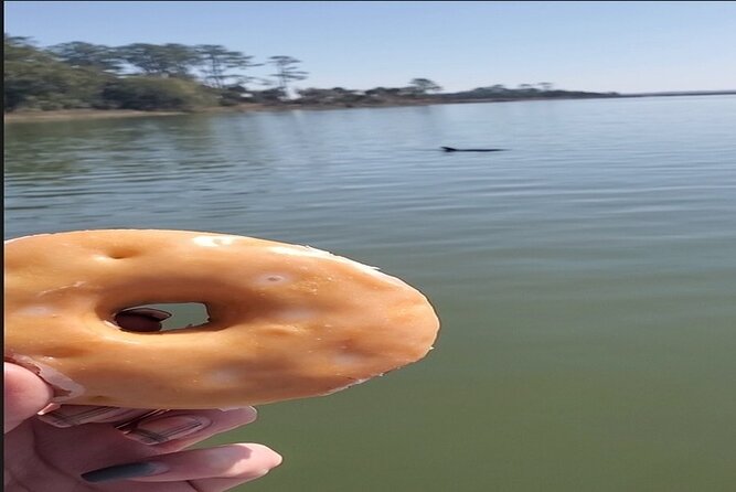 Hilton Head Morning Dolphins & Donuts Cruise - A guided look at marsh wildlife and coastal ecology