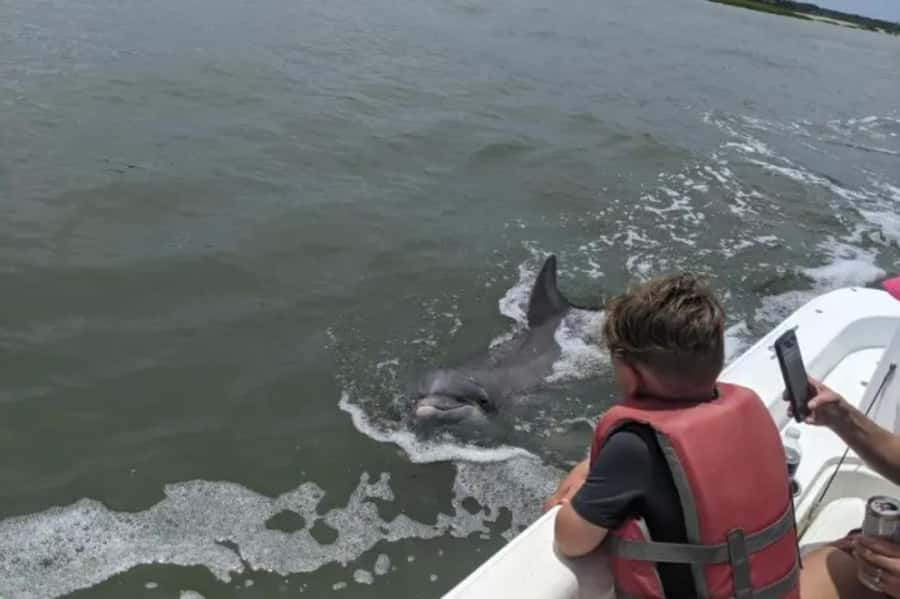 Hilton Head: Private Dolphins & Tubing Adventure - Key points at a glance