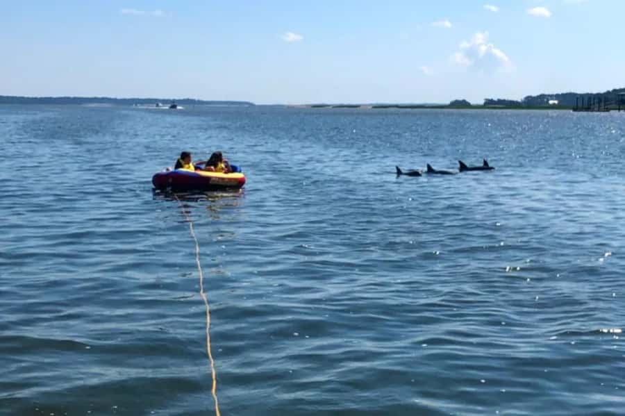Hilton Head: Private Dolphins & Tubing Adventure - A private boat changes the feel of the day