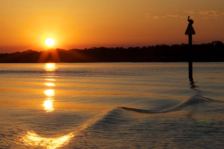 Hilton Head: Sunset Dolphin Cruise with Scenic Views - Key points at a glance