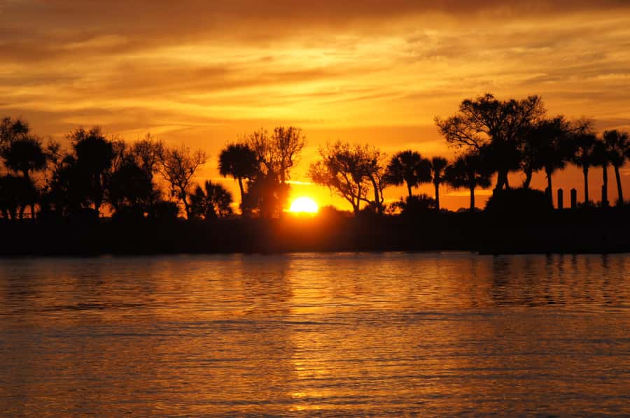 Hilton Head: Sunset Dolphin Cruise with Scenic Views - Setting out from Shelter Cove Marina