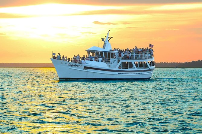 Hilton Head Sunset Dolphin Watching Cruise - Marsh birds, shrimp boats, and island views