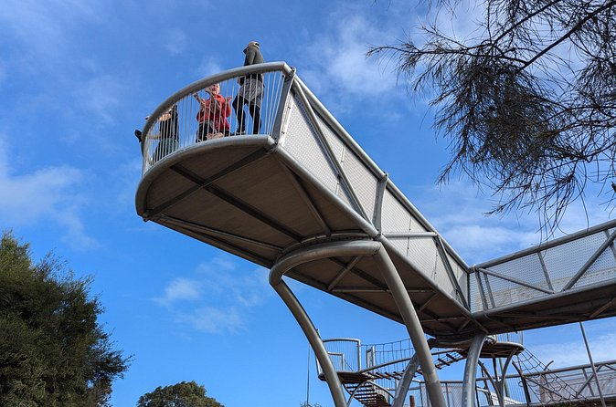 Historic Leschenault Inlet & Dolphin Sundowner Run - 5K ish - The Mangrove Boardwalk, if open