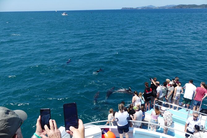 Hole in the Rock Scenic Cruise including Dolphins and Island stop - From Paihia or Russell to the open bay