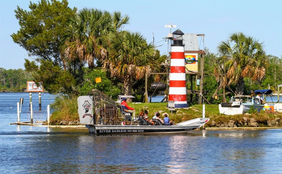 Homosassa: Gulf of Mexico Airboat Ride and Dolphin Watching - The high-speed airboat section