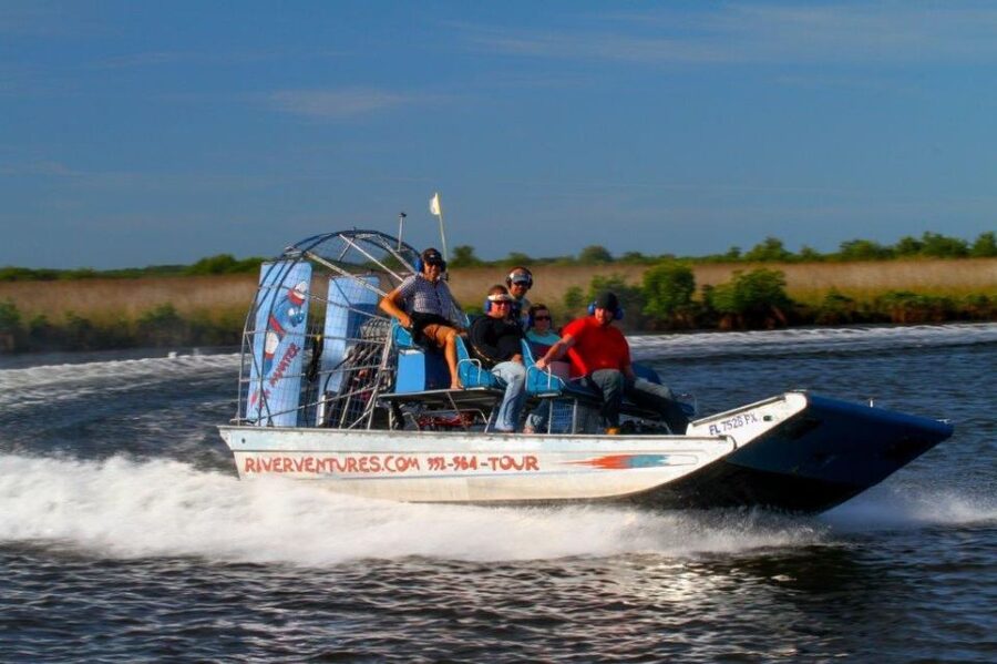 Homosassa: Gulf of Mexico Airboat Ride and Dolphin Watching - More than dolphins: manatees, sharks, and birds