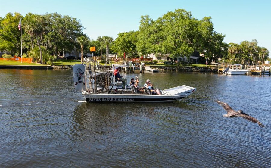 Homosassa: Gulf of Mexico Airboat Ride and Dolphin Watching - Comfort, age, and weather advice