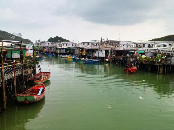 Hong Kong Dolphin Watch Tour - Key points to know before you book