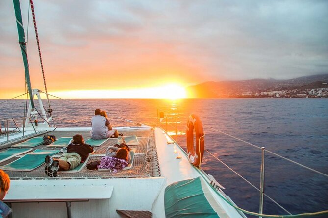 Hop-on Hop-off Bus Tour and Catamaran Whale & Dolphin Watching - Key points to know before you book