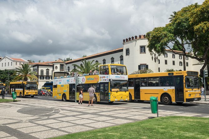 Hop-on Hop-off Bus Tour and Catamaran Whale & Dolphin Watching - Pico dos Barcelos is the key hilltop stop