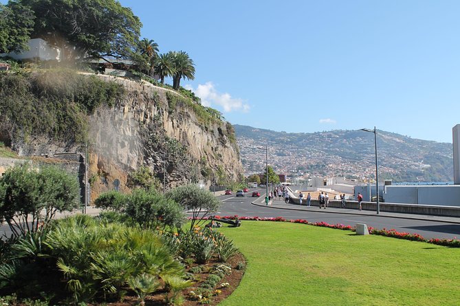 Hop-on Hop-off Bus Tour and Catamaran Whale & Dolphin Watching - Câmara de Lobos adds a separate fishing-town feel