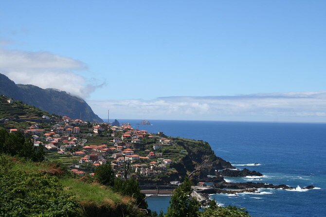 Hop-on Hop-off Bus Tour and Catamaran Whale & Dolphin Watching - What the $55.27 price really buys you