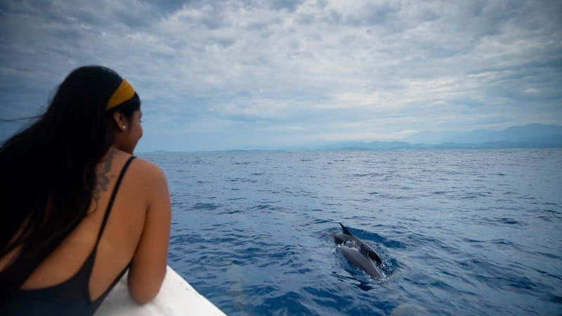 Huatulco: Awakening with Stars Dolphins Boat Cruise - Key points to know before booking