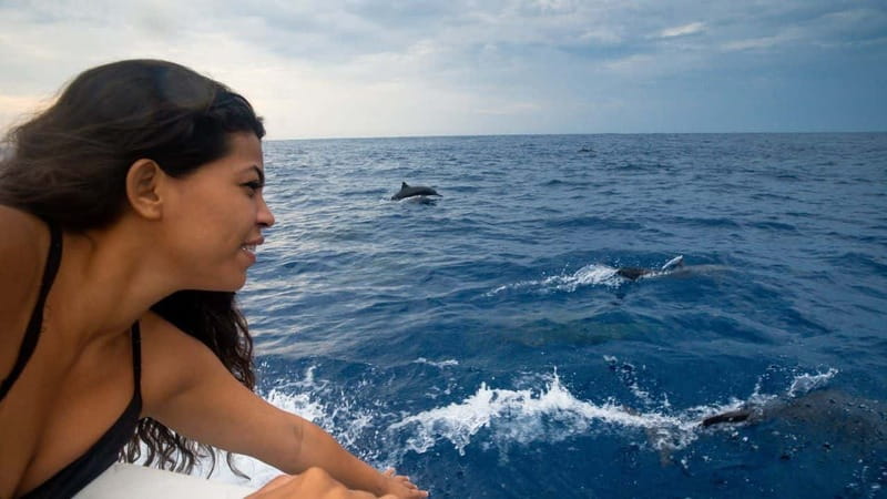 Huatulco: Awakening with Stars Dolphins Boat Cruise - The Oaxacan coast from the water