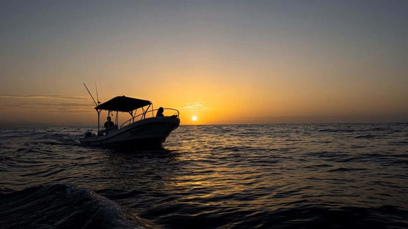 Huatulco: Awakening with Stars Dolphins Boat Cruise - What the return trip is like