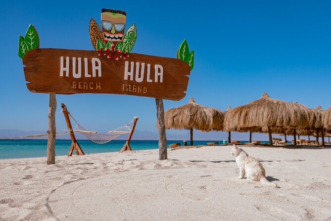 Hula Hula Island and Dolphin House with Snorkeling by Speedboat - Key points at a glance