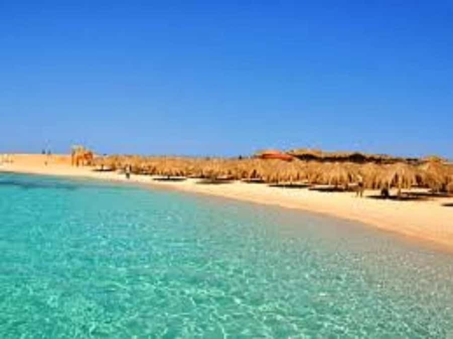 Hurghada: 3-Island Speedboat, Dolphin Watching & Snorkeling - Timing, comfort, and the real pace of the day