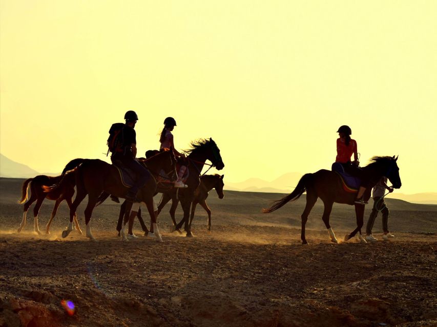 Hurghada: 4 Days Tour Horse, Camel, Spa, ATV, Jeep & Dolphin - Key points to know before booking