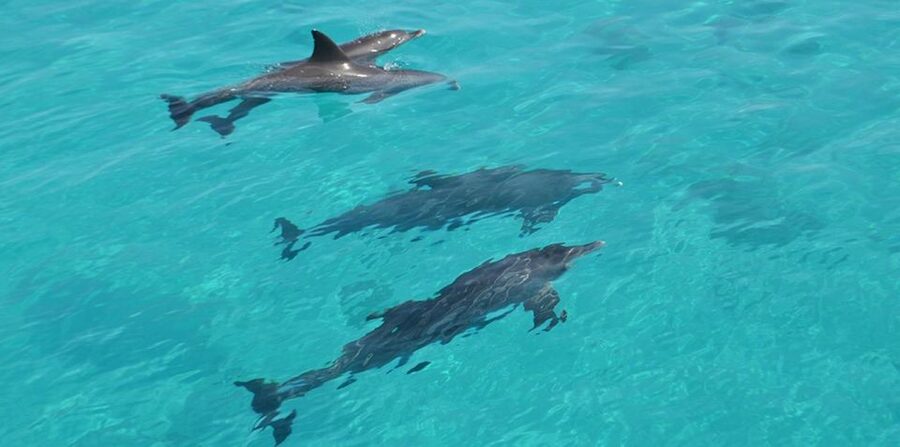 Hurghada: 4 Days Tour Horse, Camel, Spa, ATV, Jeep & Dolphin - Day two: a two-hour ATV route through sea and desert