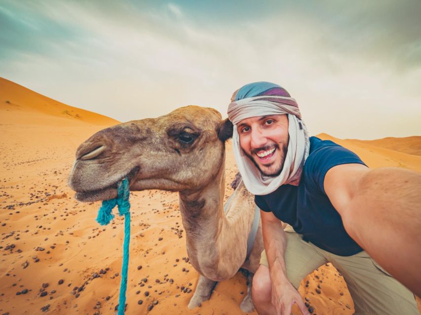 Hurghada: 4 Days Tour Horse, Camel, Spa, ATV, Jeep & Dolphin - How the transport and scheduling work