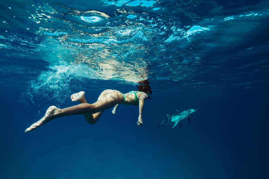 Hurghada: All-Inclusive Elite VIP Dolphin House & Massage - Leaving Hurghada for an all-day Red Sea outing