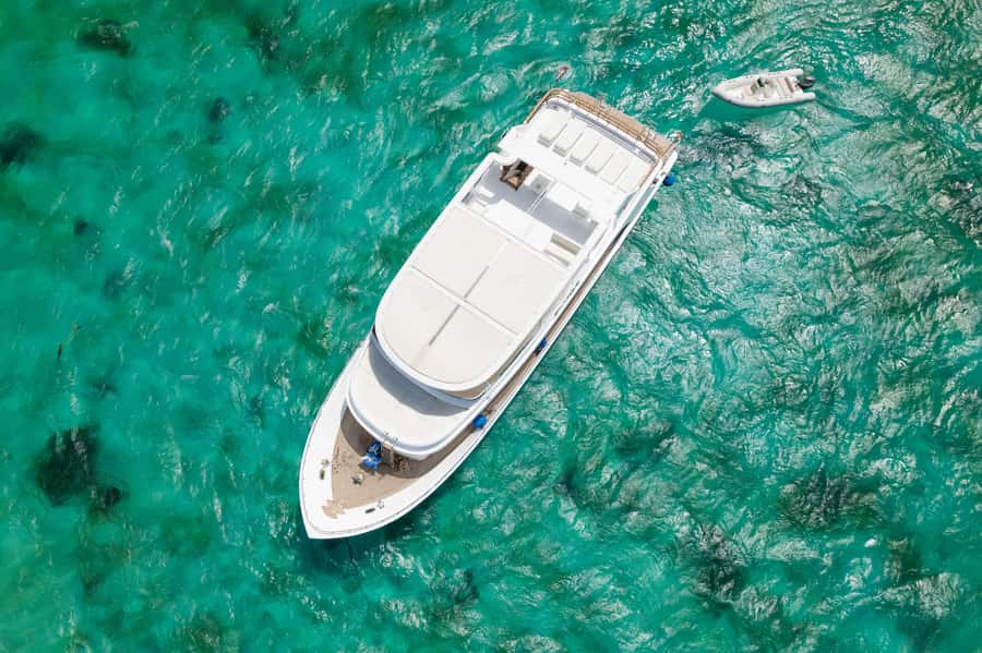 Hurghada: All-Inclusive Elite VIP Dolphin House & Massage - Buffet lunch on the open Red Sea