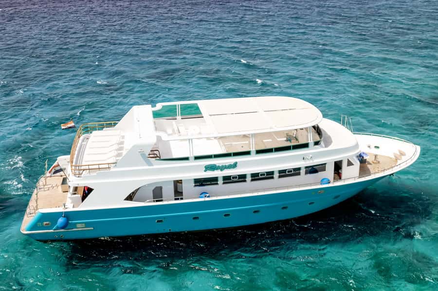 Hurghada: All-Inclusive Elite VIP Dolphin House & Massage - Who should book this Dolphin House cruise?