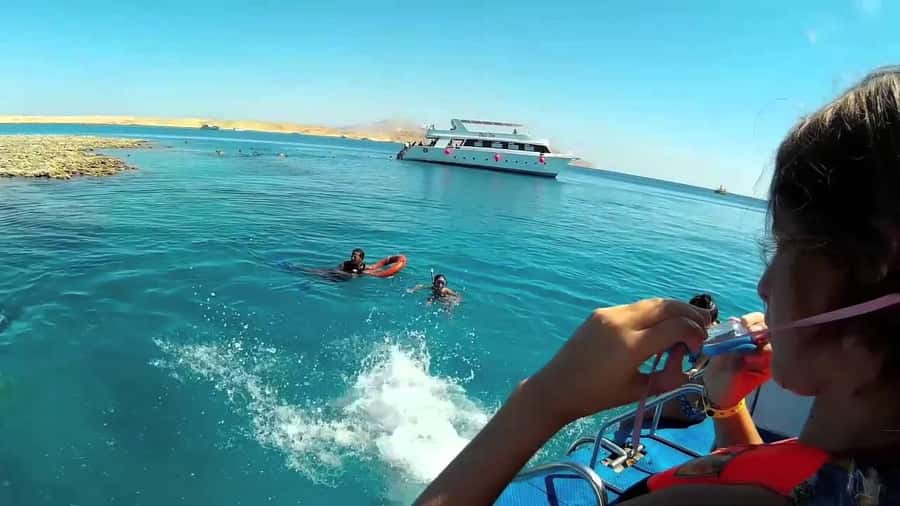 Hurghada: Day Snorkeling with Dolphins - Two reef stops beyond the dolphins