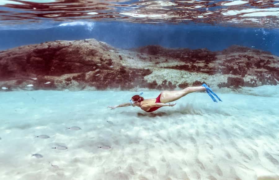 Hurghada: Day Snorkeling with Dolphins - The small costs and annoyances to plan for
