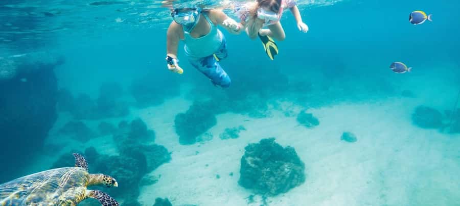 Hurghada: Day Snorkeling with Dolphins - The early hotel pickup and marina transfer