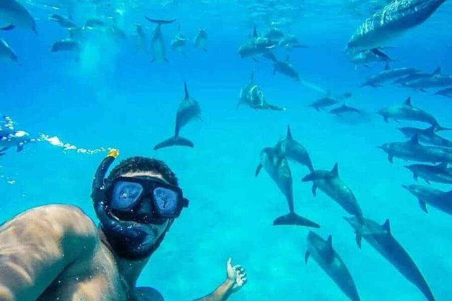 Hurghada: Dolphin & Coral Reef Snorkeling Tour with Lunch - The best parts of this Red Sea day