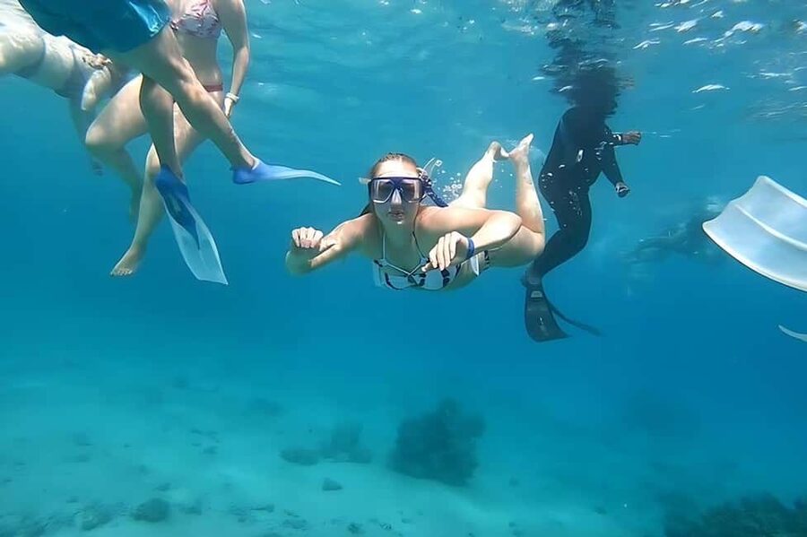 Hurghada: Dolphin Cruise with Snorkeling & Buffet Lunch - Who will enjoy this cruise most?