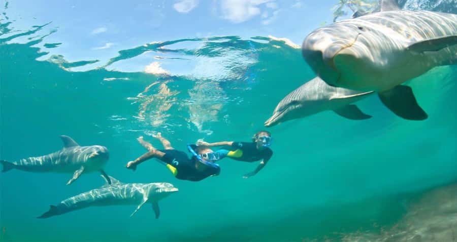 Hurghada: Dolphin watch Cruise with optional pickup - Lunch, drinks, and time to slow down