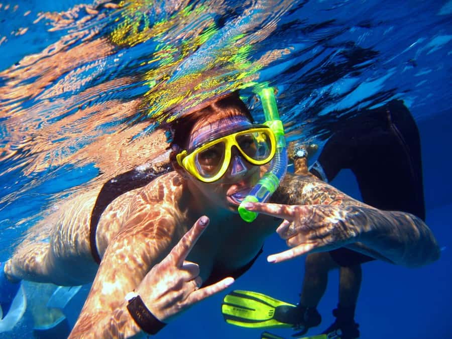 Hurghada: Dolphin watch Cruise with optional pickup - The crew, guides, and onboard language