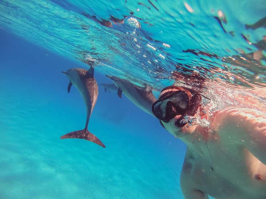 Hurghada: Dolphin Watching Boat Tour with Snorkeling & Lunch - Setting out from Public Beach Number 9